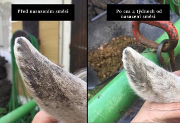 Herbal Horse NR°9 Muchař 0,5kg - muchar 2
