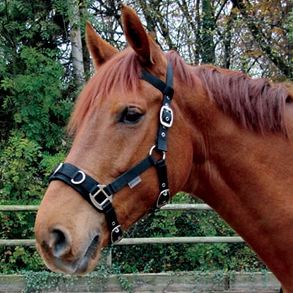 Lonžovací ohlávka Waldhausen obnosek černý