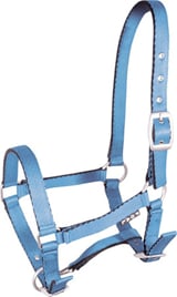 Ohlávka hříběcí světle modrá