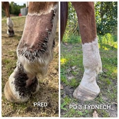 Uniqorn Derma, 1,5 kg sarkoidy, letní vyrážka, podlomy - derma 3