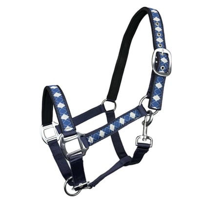 Ohlávka podložená Káro navy/beige