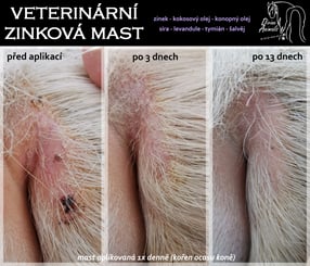 Veterinární zinková mast 100ml - mast