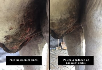 Herbal Horse NR°9 Muchař 0,5kg - muchar 4