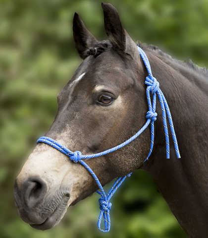 Ohlávka provazová AWA modrá