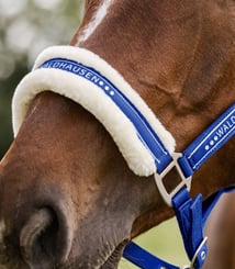 Ohlávka Elegant Waldhausen saphire blue - elegant 3