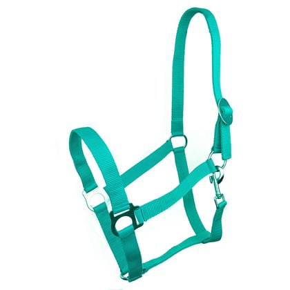 Ohlávka podložená Káro tyrkys/beige