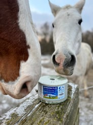 Minerální liz z mořské soli se spirulinou bohatou na vitamíny a esenciální živiny - 929_2e5bbd00_6dfe6ffe-7695-4595-af0c-398a4111f0ee.jpeg