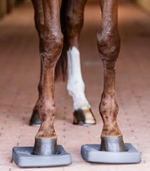 Balanční podložky Waldhausen Health + Care - podlozky 3