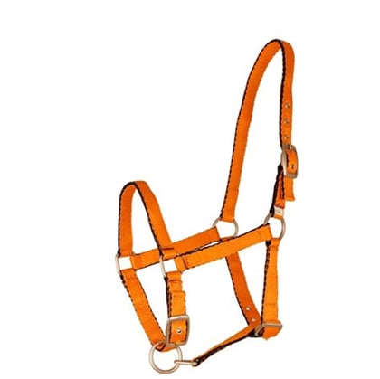 Ohlávka Mini Shetty oranžová