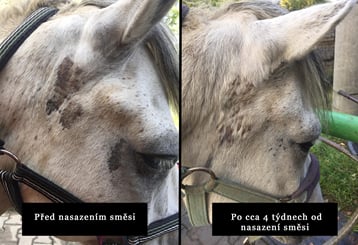 Herbal Horse NR°9 Muchař 1kg - muchar 1