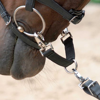 Lonžovací nylonová spojka černá