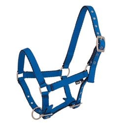 Ohlávka hříběcí Fair Play royal modrá