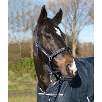 Ohlávka podložená s kamínky tmavě modrá