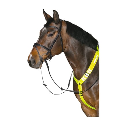 Reflexní náprsník pro koně  růžový neon 