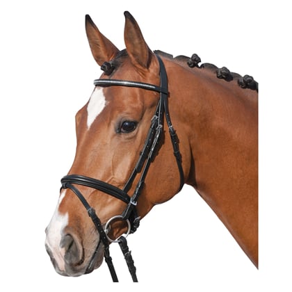 Uzdečka pro chladnokrevníka Diamond black