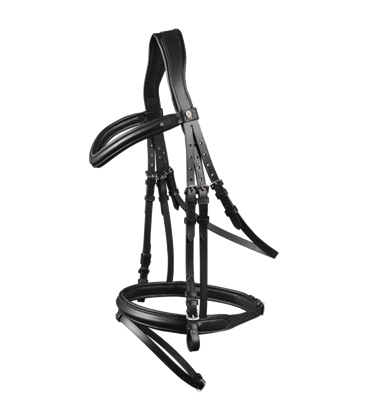 Uzdečka Chladnokrevník Waldhausen X-Line Bridle London černá